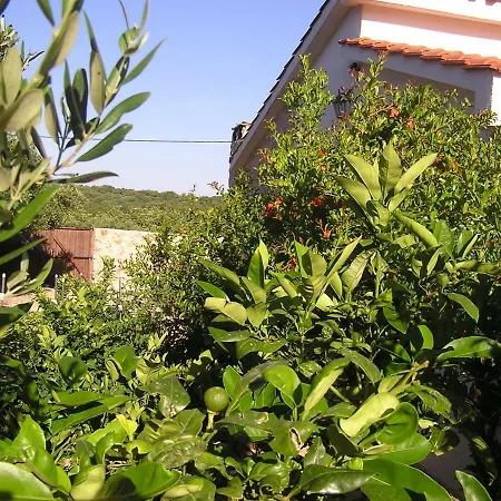 Casa vacanze Sanadrija Mali Drvenik